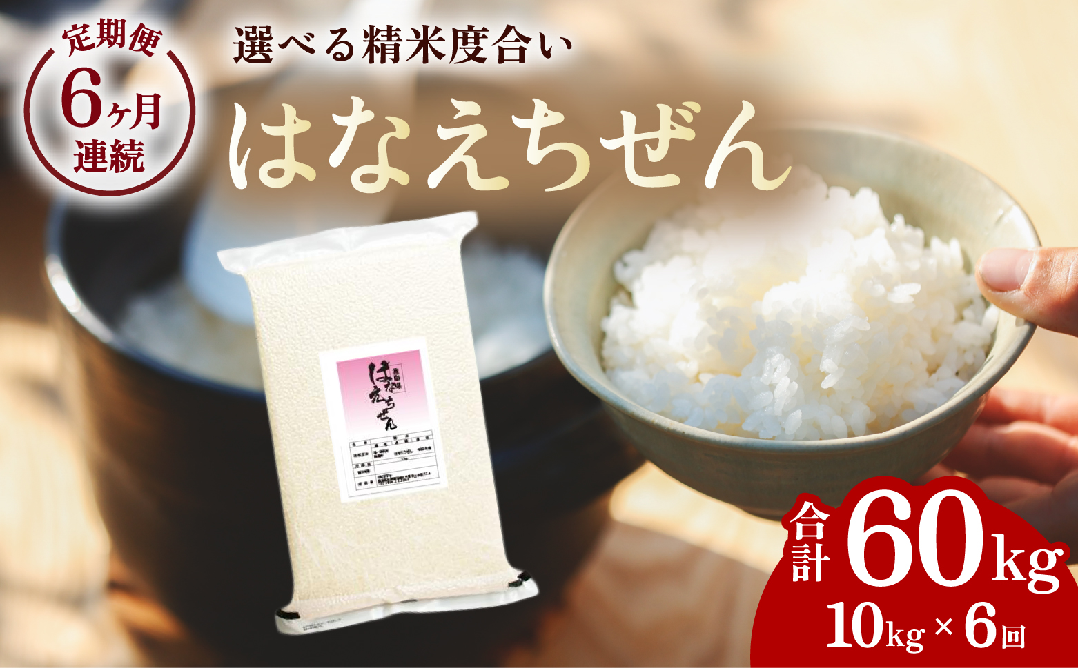 【先行予約】はなえちぜん 白米 5kg×2袋×6回 6ヶ月連続 定期便 60kg 真空パック ハナエチゼン 米 簡易梱包 エコ梱包【８月下旬以降順次お届け】