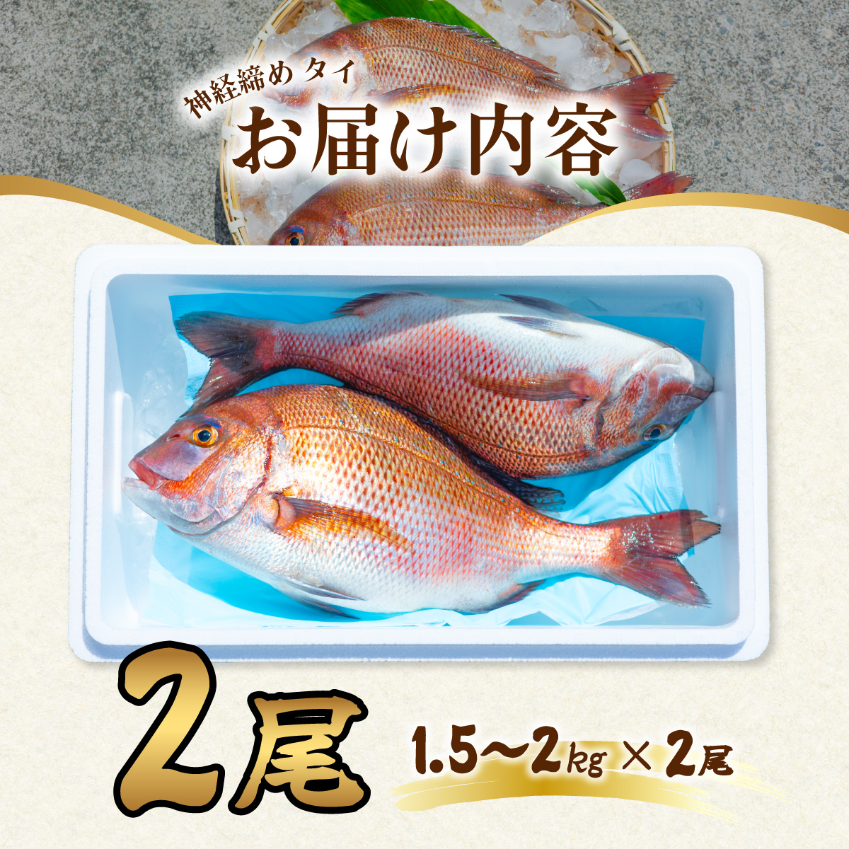 タイ 神経締め 2尾 計約3～4kg 鯛 たい 真鯛 マダイ 鮮魚 産地直送 冷蔵 養殖 国産