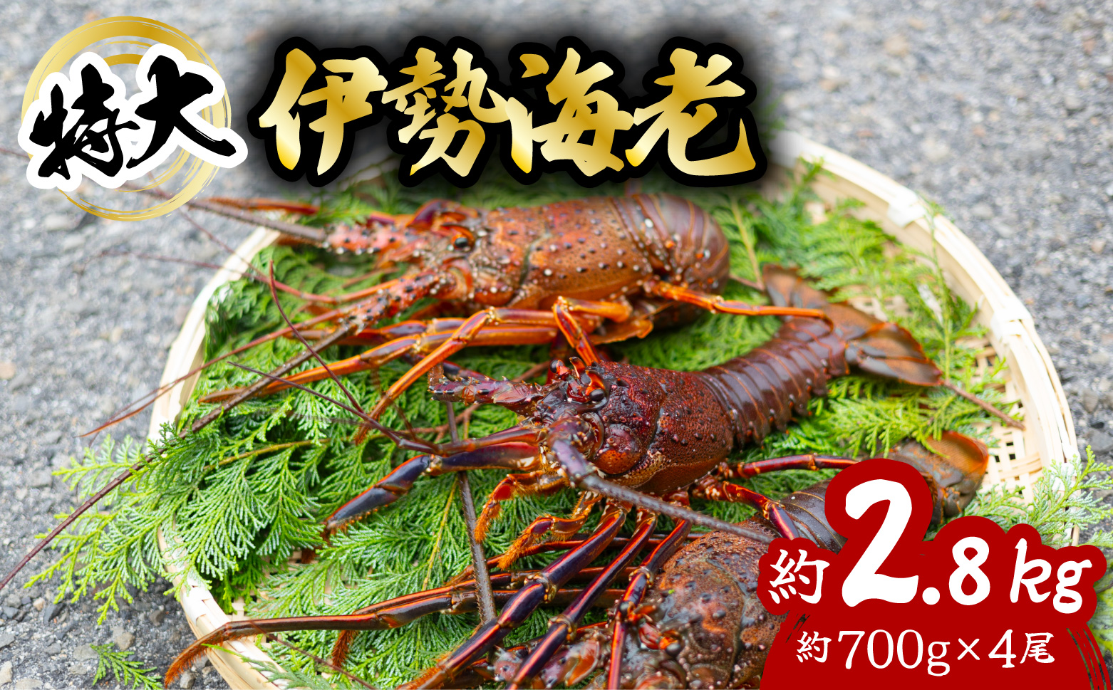 伊勢海老 特大 約2.8kg 約700g×4尾 伊勢えび 伊勢エビ いせえび イセエビ 海老 えび エビ 海鮮 海産物 海の幸 おせち 高級 国産 海鮮 ギフト 【配送日指定】