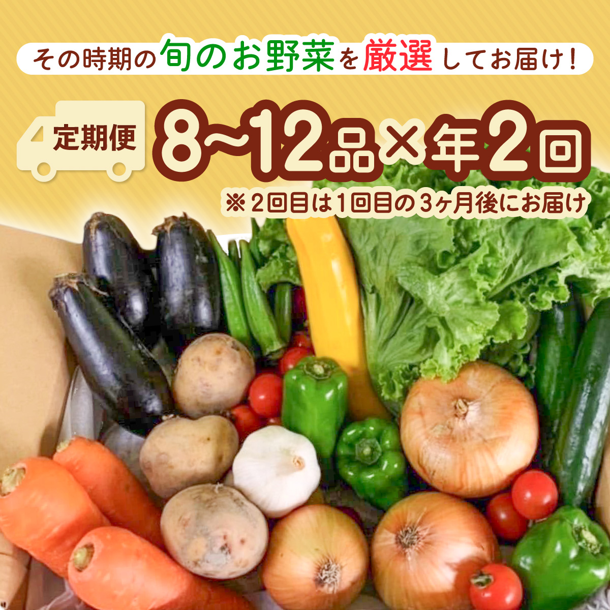 【定期便年2回】阿波の国海陽町 旬のお野菜詰め合わせセット 8～12品×2回 野菜 定期便 野菜定期便 年2回 徳島県 海陽町産 野菜セット 詰め合わせ 4-5名様以上 向け 季節の野菜 やさい 産地直送 新鮮 採れたて お試し