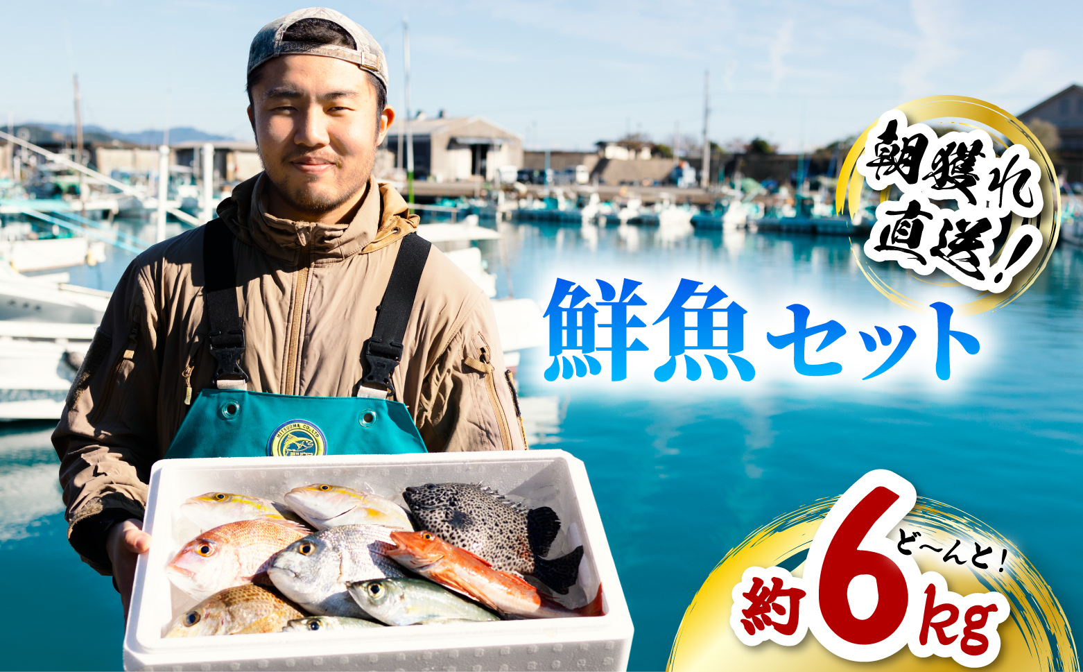 産地直送！ 海陽町より旬の魚をお届け！ 鮮魚セット 大セット 約６kg  詰め合わせ