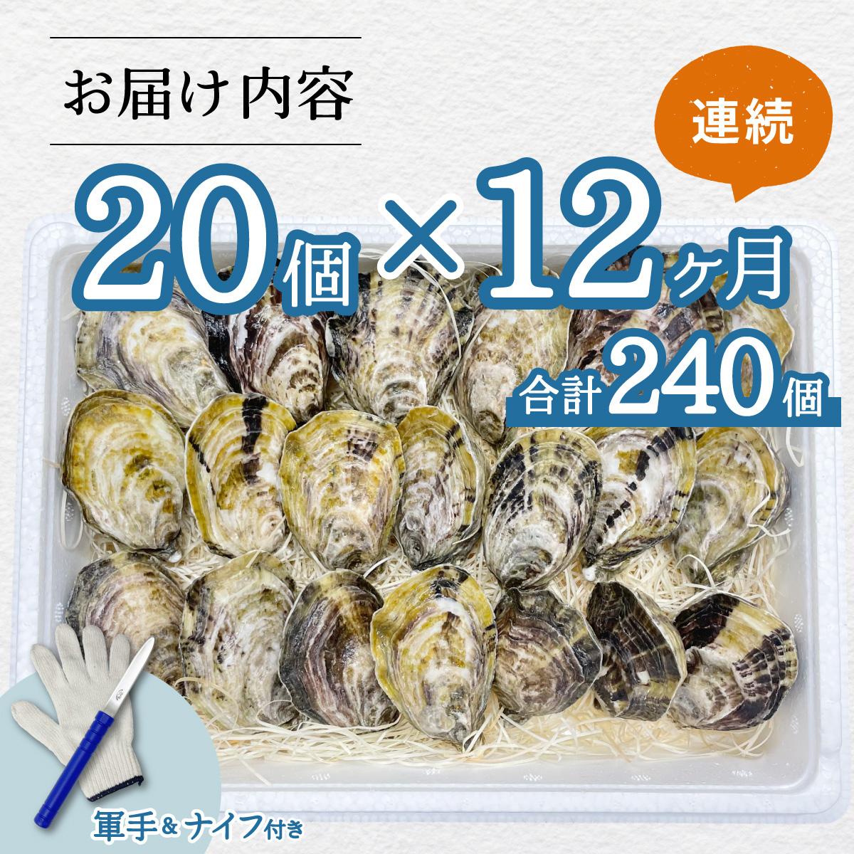 【あまべ牡蠣 20個 12ヶ月連続定期便】あまべ牡蠣 20個 12ヶ月定期便 240個 牡蠣 シングルシード 生食用 殻付き かき カキ オイスター 生ガキ 生牡蠣 生がき 生かき ギフト 貝 旨味