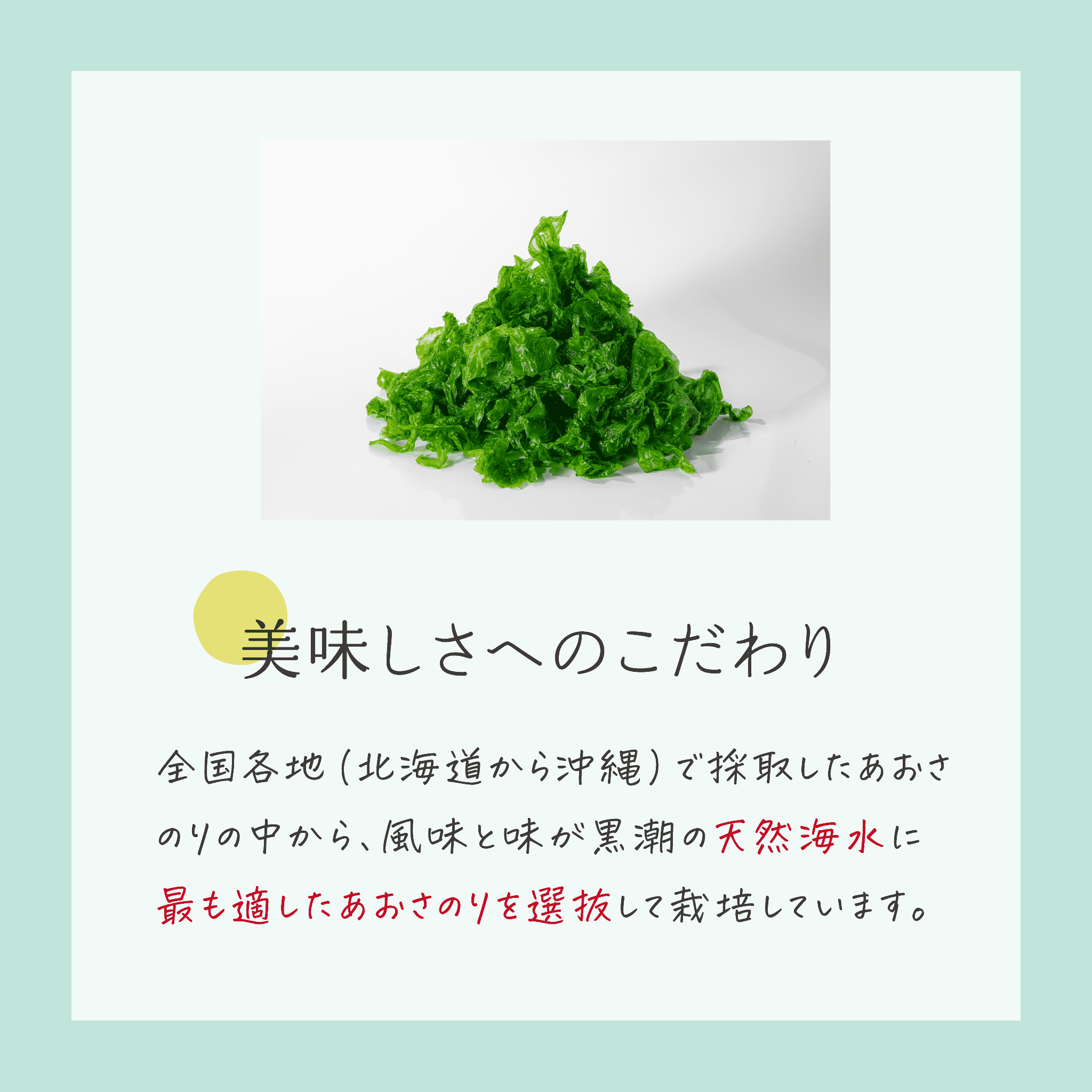 海の緑黄色野菜 あおさ（ヒトエグサ）（乾燥） 15g×6袋