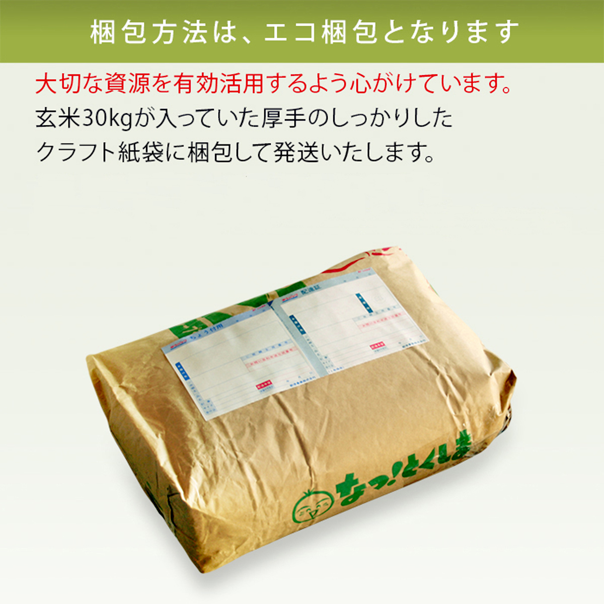 【先行予約】こしひかり 玄米時重量 5kg×2袋 10kg 分づき米 対応可 真空パック コシヒカリ 米 簡易梱包 エコ梱包【８月下旬以降順次お届け】