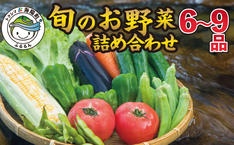 阿波の国海陽町　旬のお野菜詰め合わせセット６-９品