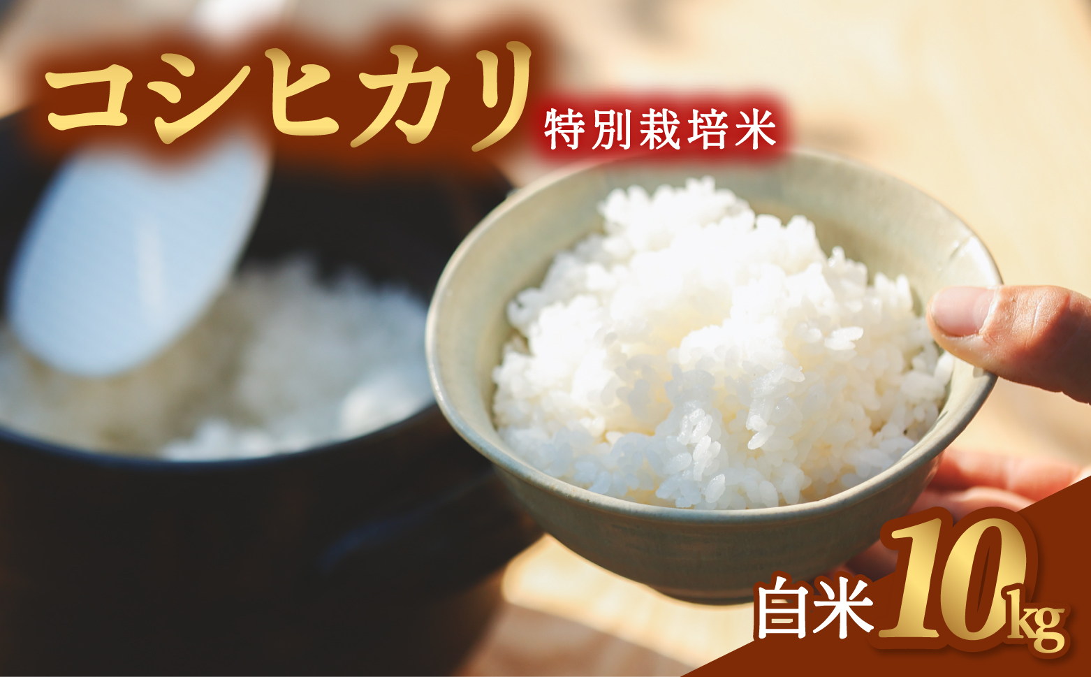 コシヒカリ 特別栽培米 白米 10kg