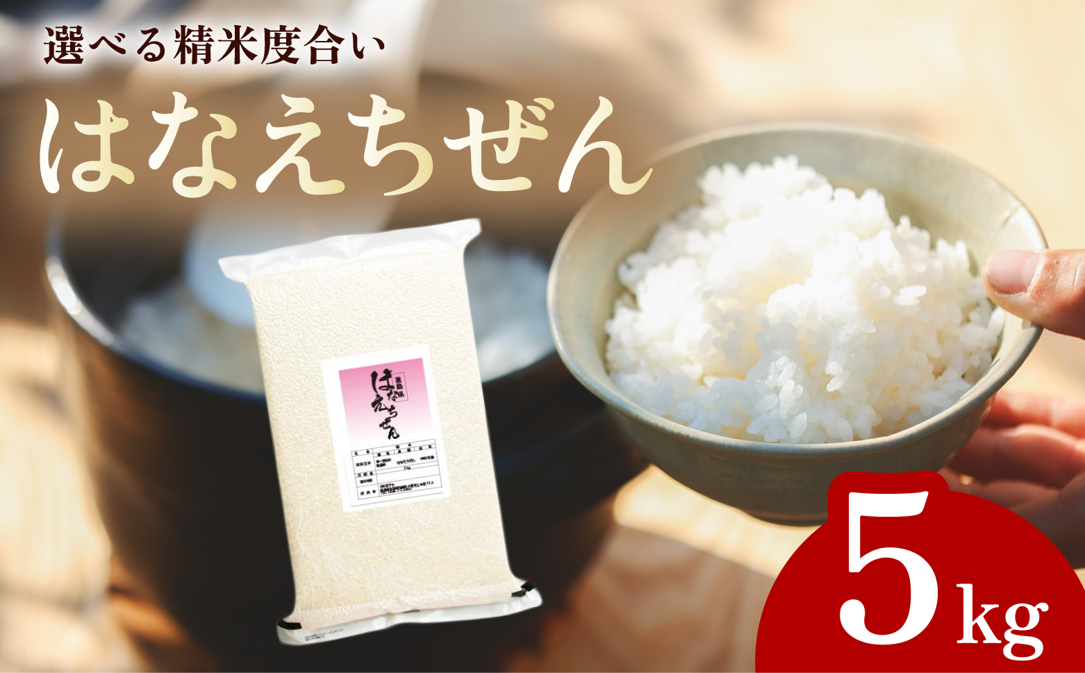 【先行予約】はなえちぜん 白米 5kg 真空パック ハナエチゼン 米 簡易梱包 エコ梱包【８月下旬以降順次お届け】