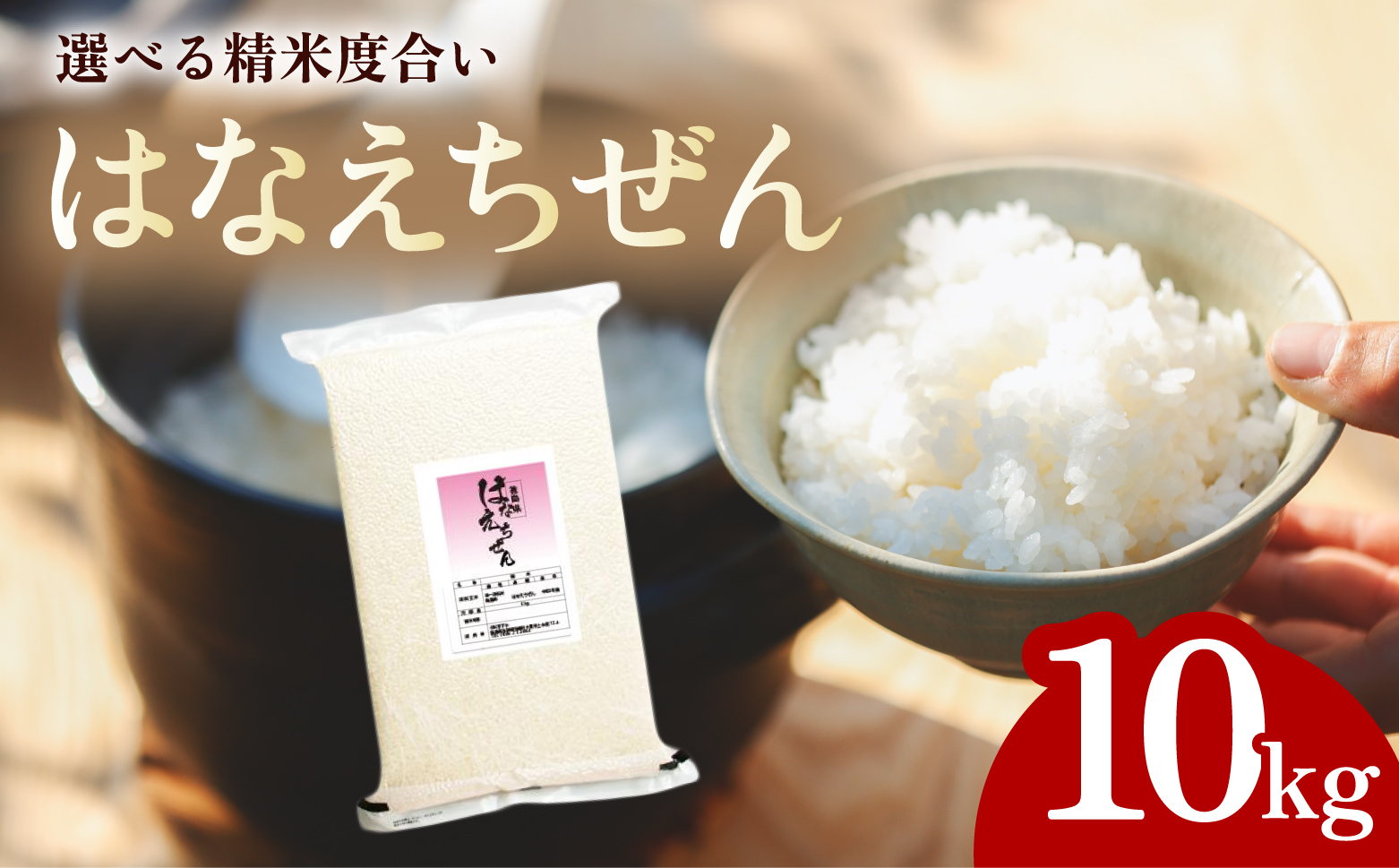 【先行予約】はなえちぜん 白米 5kg×2袋 真空パック ハナエチゼン 米 簡易梱包 エコ梱包【８月下旬以降順次お届け】