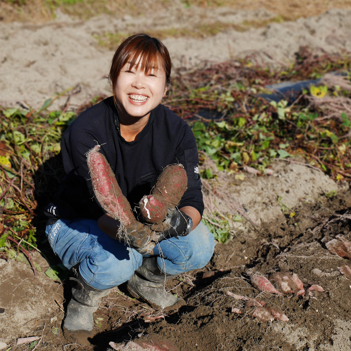 訳あり さつまいも 食べ比べ 3種 計8kg