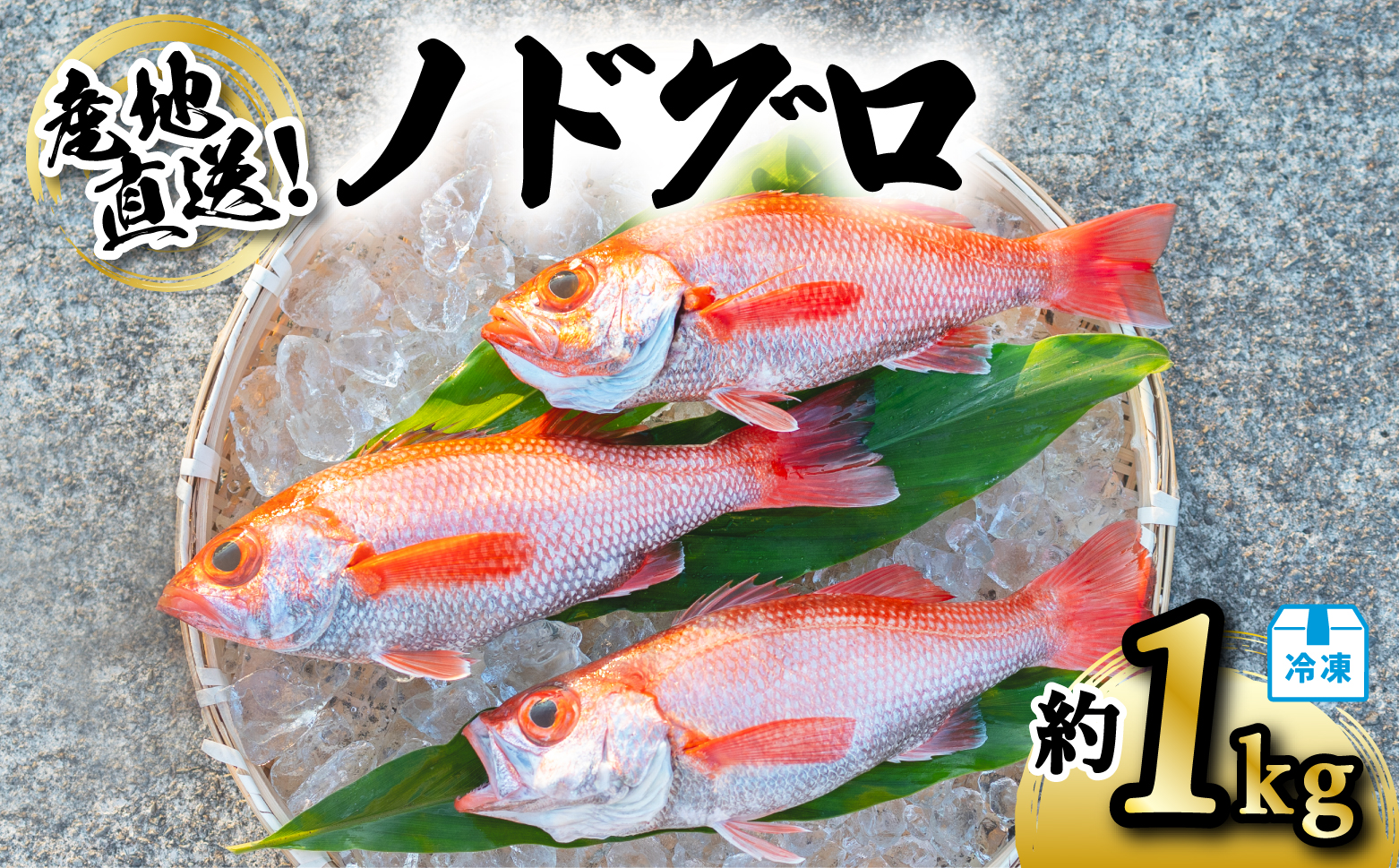 ノドグロ 約1kg 産地直送 冷凍 下処理済 アカムツ のどぐろ 高級魚 水揚げ時重量約1kg 下処理後約800g