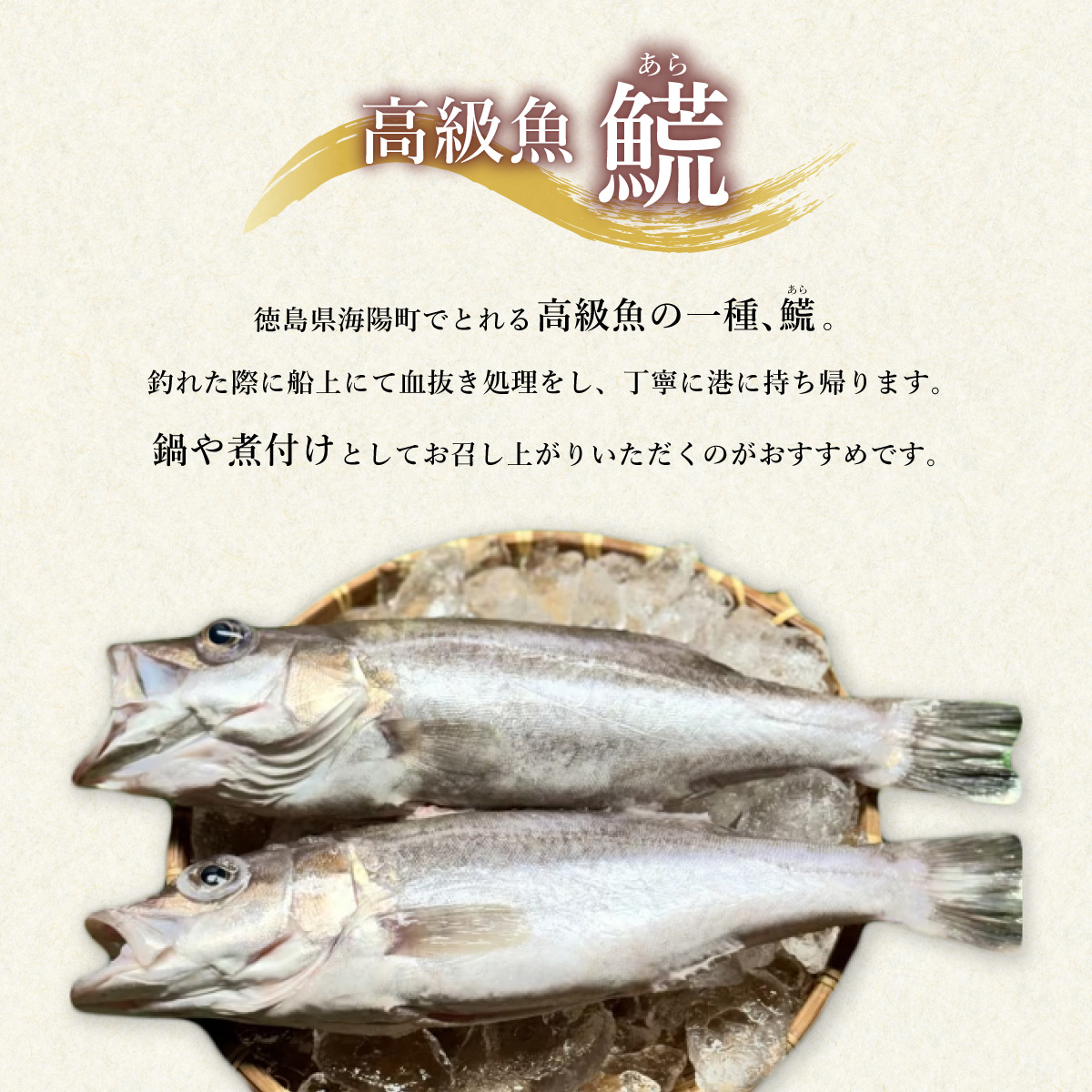 アラ 約1kg 産地直送 冷凍 下処理済 あら 𩺊 高級魚 水揚げ時重量約1kg 下処理後約900g
