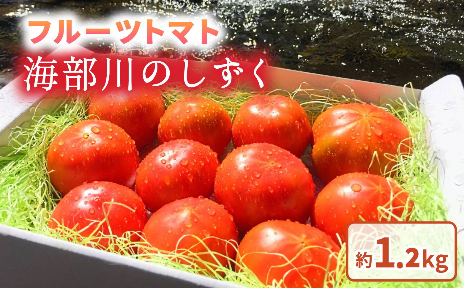 フルーツトマト「海部川のしずく」約1.2kg トマト とまと tomato