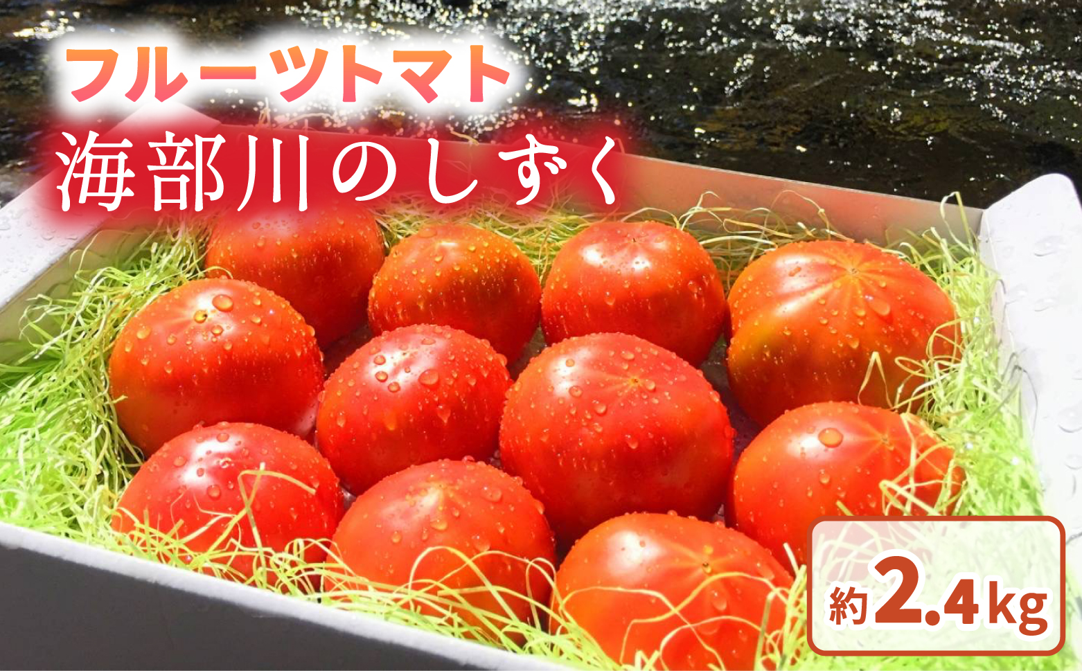 フルーツトマト「海部川のしずく」約2.4kg トマト とまと tomato