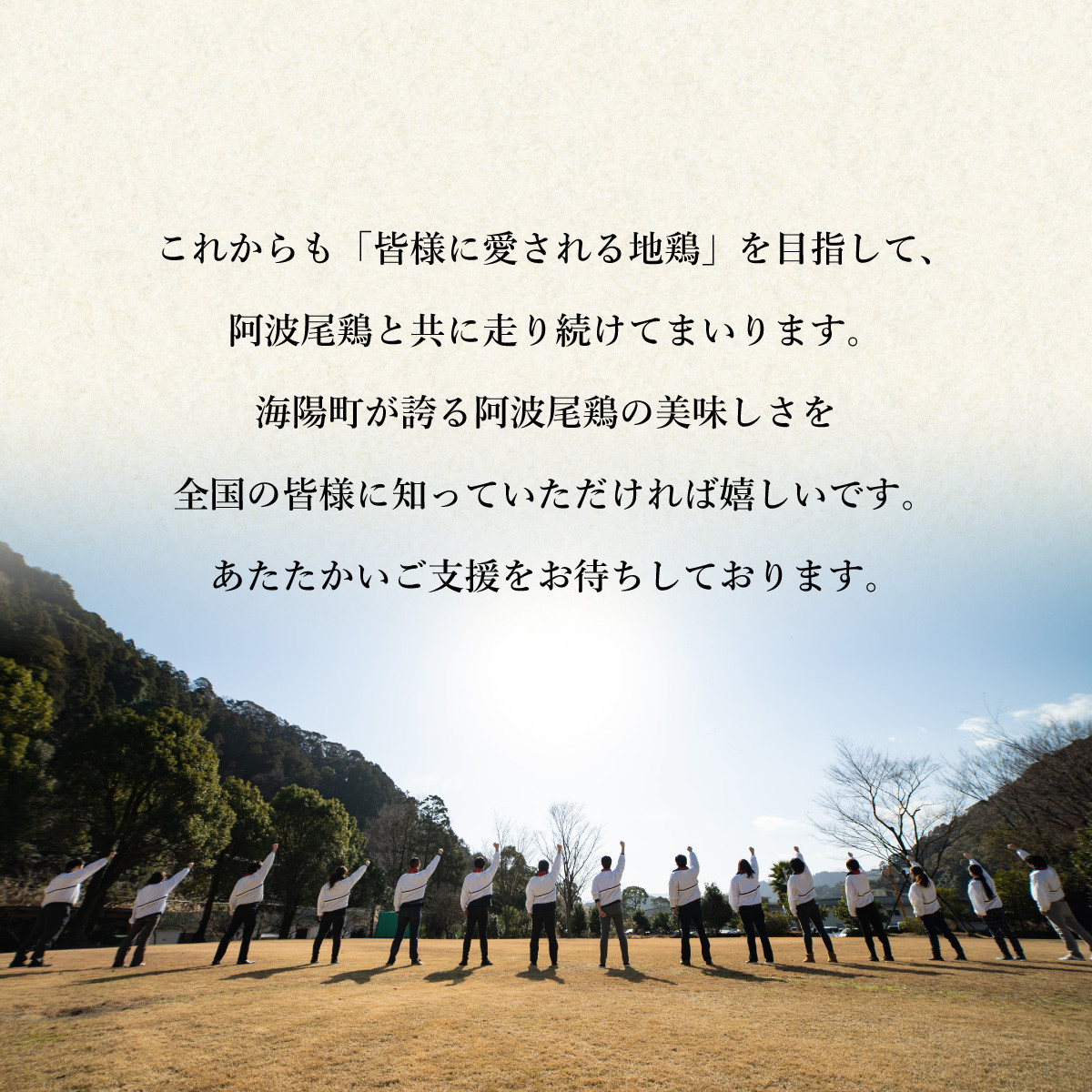 阿波尾鶏 鍋セット 鶏塩柑橘味 もも つみれ 合計700g 2-3人前 地鶏 鶏肉 鶏鍋 鍋セット お鍋 おなべ 冷凍