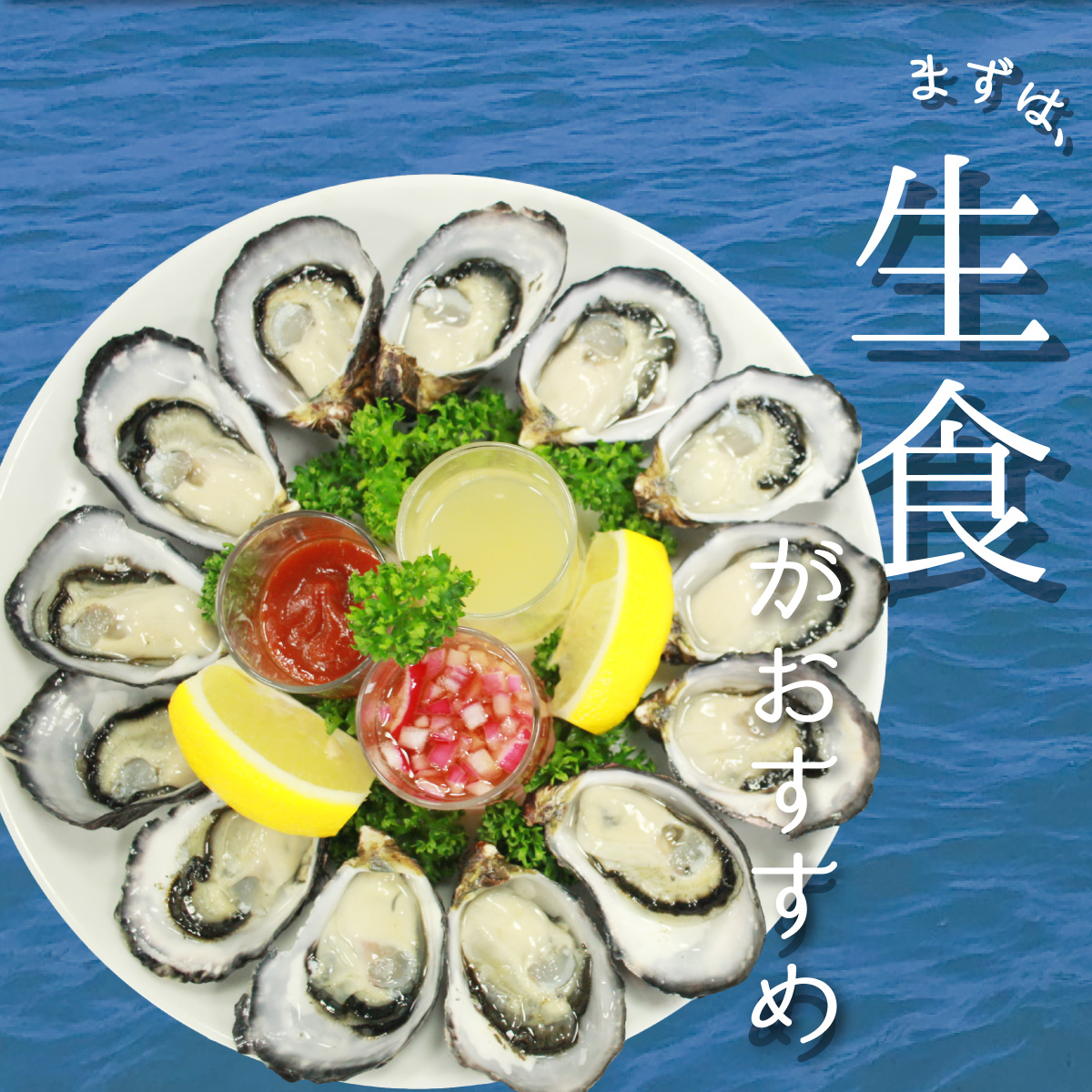 縺ゅ∪縺ケ迚。陟」 40蛟 迚。陟」 繧キ繝ウ繧ー繝ォ繧キ繝シ繝 逕滄」溽畑 谿サ莉倥″ 縺九″ 繧ォ繧ュ 繧ェ繧、繧ケ繧ソ繝シ 逕溘ぎ繧ュ 逕溽横陟」 逕溘′縺 逕溘°縺 繧ョ繝輔ヨ 雋 譌ィ蜻ウ