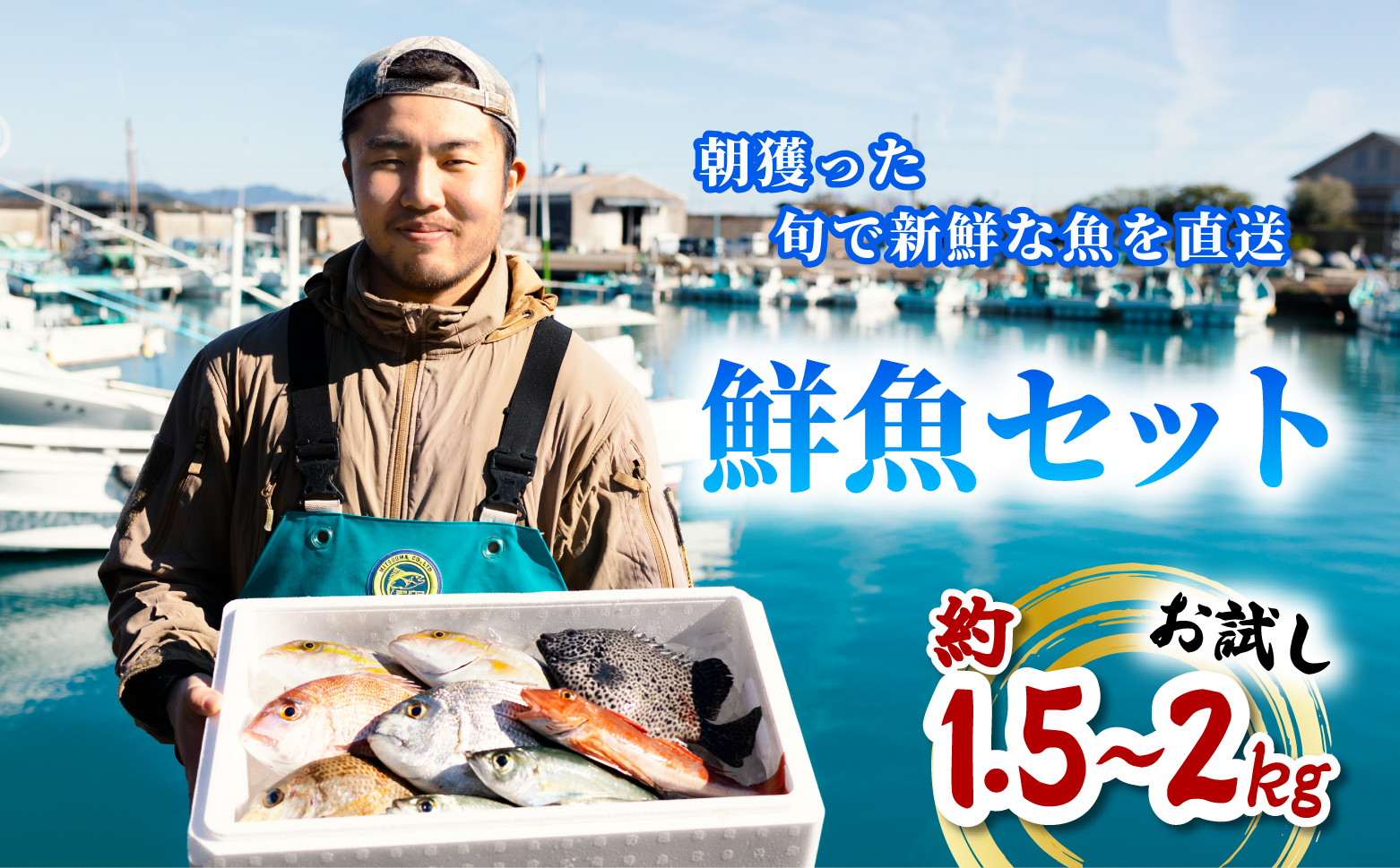 産地直送！ 海陽町より旬の魚をお届け！ 鮮魚セット お試し 約1.5～2kg 詰め合わせ