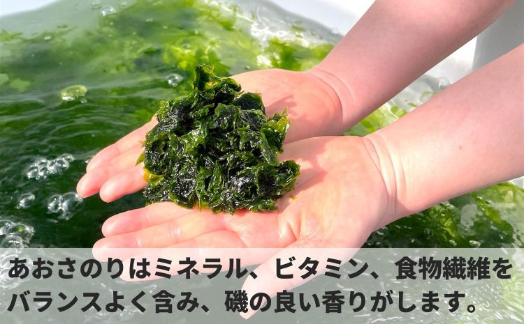 海の緑黄色野菜 あおさのり（乾燥） 15g×6袋