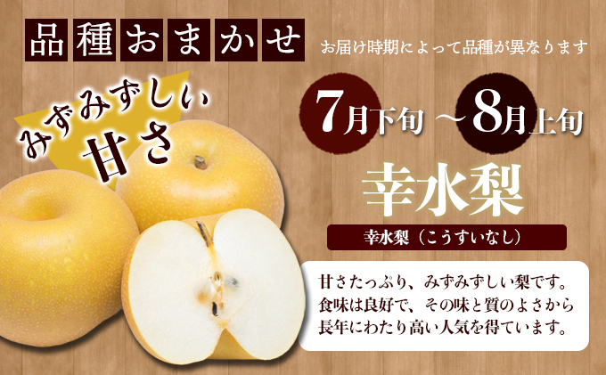 松茂町産 梨（阿波おど梨）5kg 徳島 幸水梨 豊水梨 なし ナシ 果物