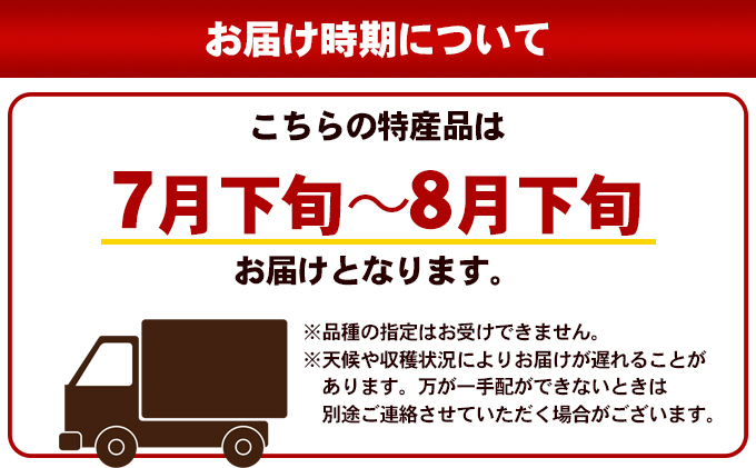 松茂町産 梨（阿波おど梨）5kg 徳島 幸水梨 豊水梨 なし ナシ 果物