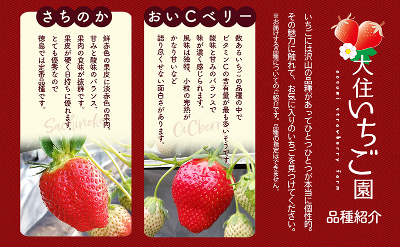 個性派いちご2品種食べ比べセット　250g×4パック　『とくしま安2（安全・安心）GAP農産物』優秀認定取得