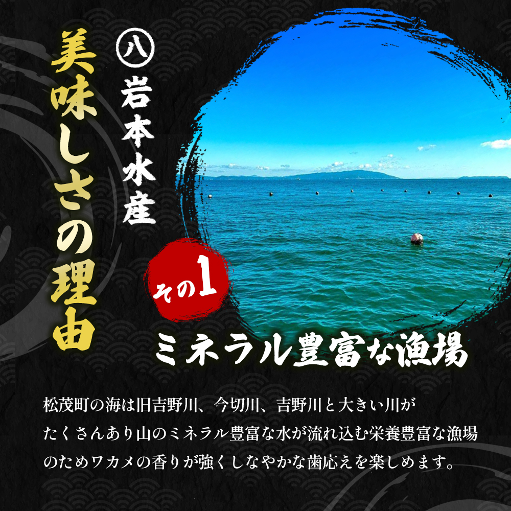 開華丸の漁師が試行錯誤を繰り返しこだわった、徳島県産わかめ 250g×2パック