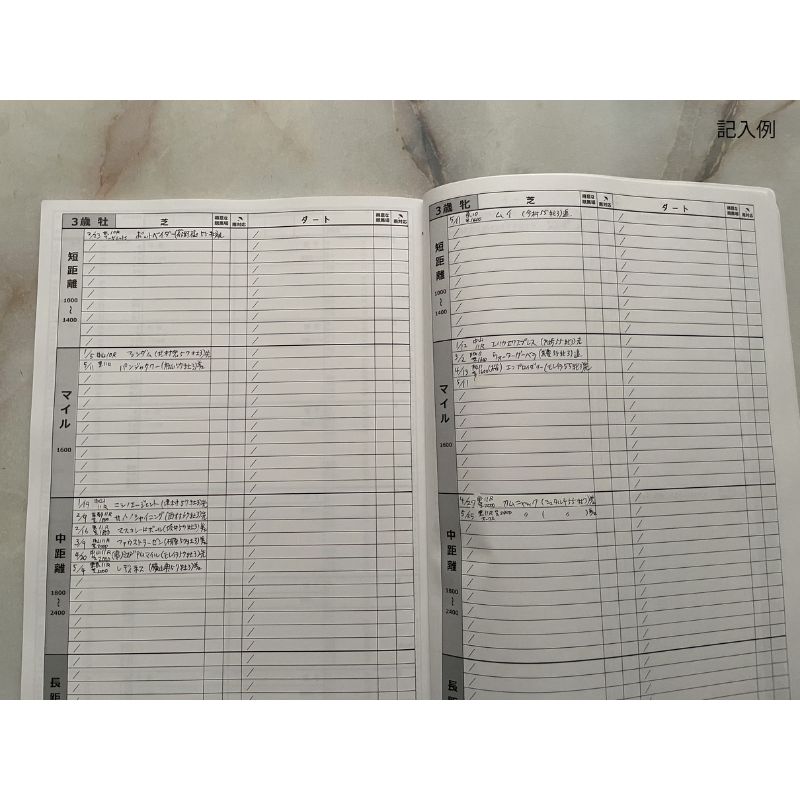 ko-nichi-do KEIBA-note