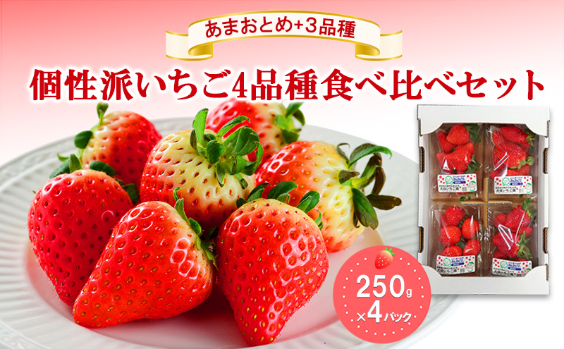 「あまおとめ」+3品種　個性派いちご4品種食べ比べセット　250g×4パック　『とくしま安２（安全・安心）農産物』優秀認定取得