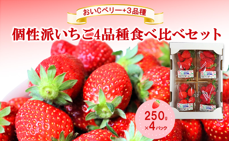 「おいCベリー」+3品種　個性派いちご4品種食べ比べセット　250g×4パック　『とくしま安２（安全・安心）農産物』優秀認定取得