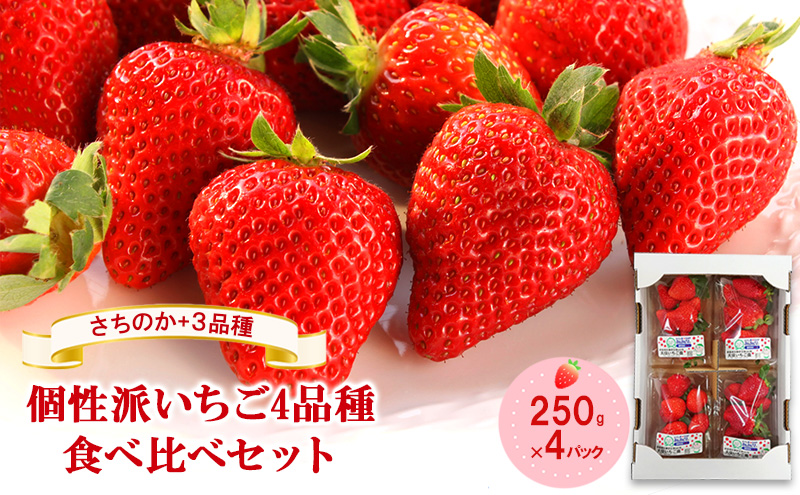 「さちのか」+3品種　個性派いちご4品種食べ比べセット　250g×4パック　『とくしま安２（安全・安心）農産物』優秀認定取得