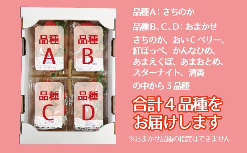 「さちのか」+3品種　個性派いちご4品種食べ比べセット　250g×4パック　『とくしま安２（安全・安心）農産物』優秀認定取得