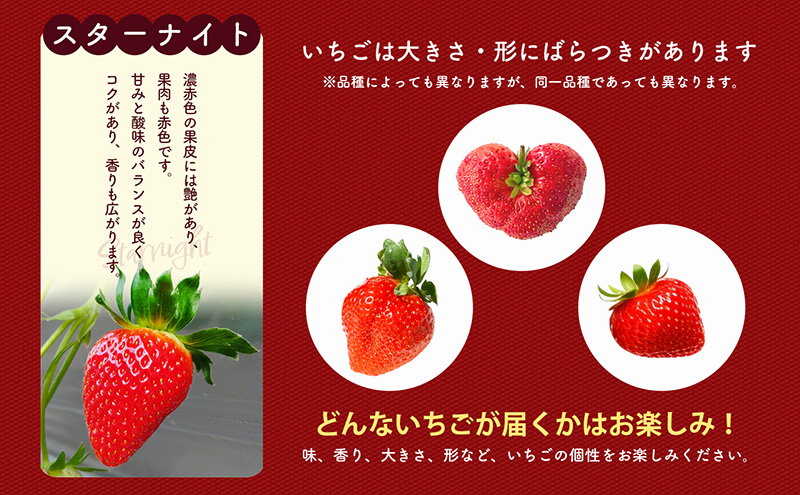 「さちのか」+3品種　個性派いちご4品種食べ比べセット　250g×4パック　『とくしま安２（安全・安心）農産物』優秀認定取得