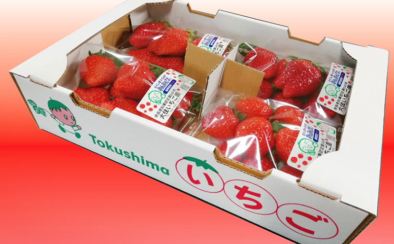 「さちのか」+3品種　個性派いちご4品種食べ比べセット　250g×4パック　『とくしま安２（安全・安心）農産物』優秀認定取得