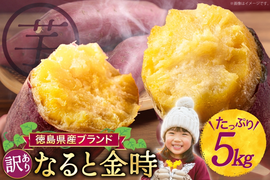 さつまいも 訳あり なると金時 甘藷 5kg [増田 和記 徳島県 北島町 29bb0002] サツマイモ さつま芋 鳴門金時 金時 ホクホク 焼き芋 天ぷら 大学芋 スイートポテト おやつ かんしょ 純国産 Lサイズ