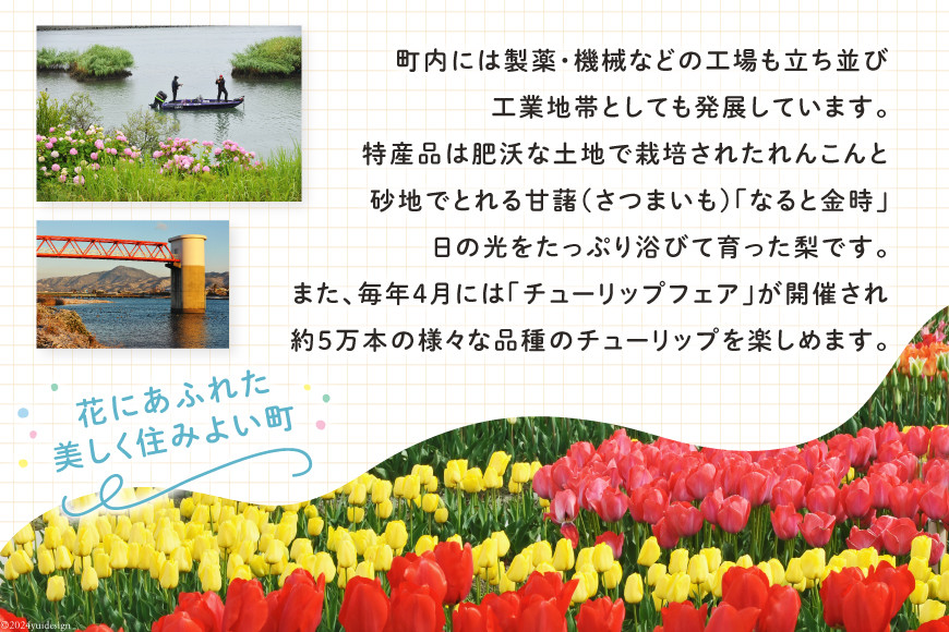【返礼品なし】徳島県北島町への応援寄附 1口 5,000円 [北島町役場 徳島県 北島町 29ba0003] 寄附 寄付 応援 純粋寄附 寄附のみ 寄付のみ 返礼品なし 支援