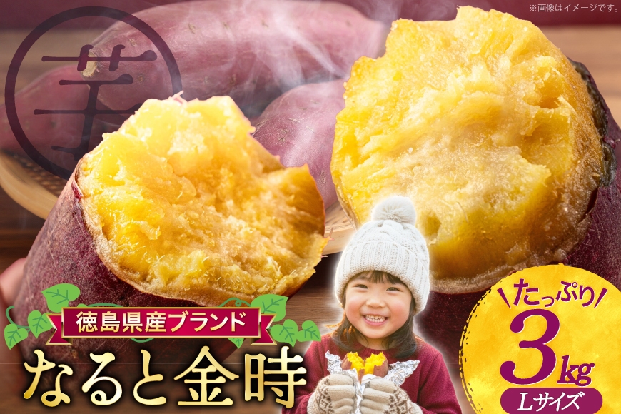さつまいも なると金時 甘藷 3kg [増田 和記 徳島県 北島町 29bb0004] サツマイモ さつま芋 鳴門金時 金時 ホクホク 焼き芋 天ぷら 大学芋 スイートポテト おやつ かんしょ 純国産 Lサイズ