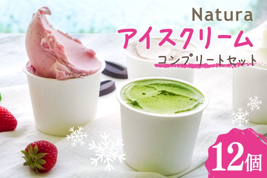 アイス ナチューラのアイスクリーム コンプリート 12個入り  [ナチューラ 徳島県 北島町 29am0010] アイスクリーム スイーツ セット 詰め合わせ ジェラート