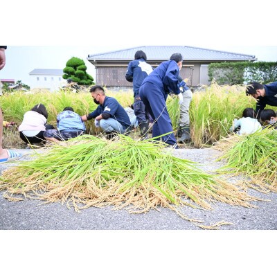 純米吟醸　勝瑞城　720ml×2本セット【1458779】