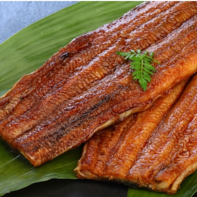 《2尾入》うなぎ蒲焼　化粧箱入り　地元老舗うなぎ加工会社より真空でお届け!【配送不可地域：離島】【1696773】