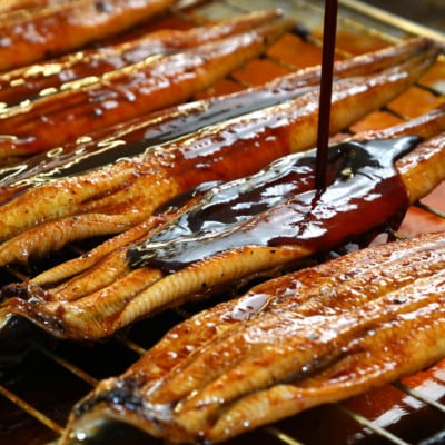 《5尾入》うなぎ蒲焼　化粧箱入り　地元老舗うなぎ加工会社より真空でお届け!【配送不可地域：離島】【1696791】