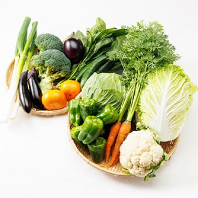 【発送月固定定期便】《春・夏・冬》旬のお野菜詰め合わせセット6kg全3回【配送不可地域：離島】【4079803】