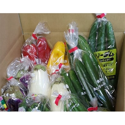 徳島県藍住町　あんちゃんふぁーむの季節の新鮮野菜セット(5品目以上)【配送不可地域：離島・北海道・沖縄県】【1084715】