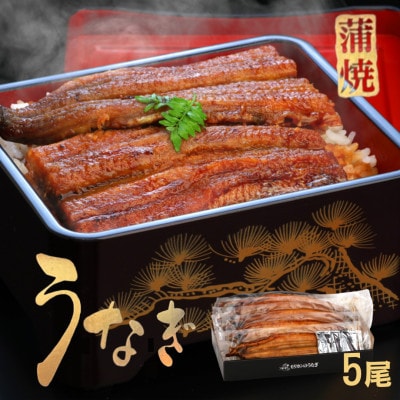《5尾入》うなぎ蒲焼　化粧箱入り　地元老舗うなぎ加工会社より真空でお届け!【配送不可地域：離島】【1696791】