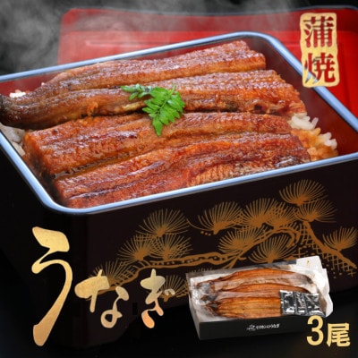 《3尾入》うなぎ蒲焼　化粧箱入り　地元老舗うなぎ加工会社より真空でお届け!【配送不可地域：離島】【1696783】