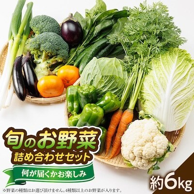 【発送月固定定期便】〈春・秋・冬〉旬のお野菜詰め合わせセット6kg全3回【配送不可地域：離島】【4059808】