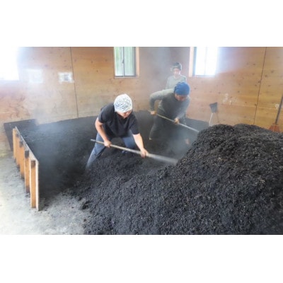 ãããã¿èå·¥æ¿å¶äœãããèææèš5ããã1698409ã