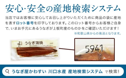 うなぎ屋かわすい 国産うなぎの蒲焼 1尾 (1尾150g-169g) 川口水産株式会社《30日以内に出荷予定(土日祝除く)》徳島県 上板町 鰻 うなぎ ウナギ 鰻の蒲焼き 蒲焼 蒲焼き 国産 k-14
