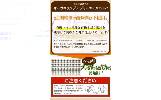 繧ク繝ウ繧ク繝」繝シ繧ィ繝シ繝ォ 250mlテ30郛カ 蜈蛾」溷刀譬ェ蠑丈シ夂、セ縲30譌・莉・蜀蜃コ闕キ莠亥ョ(蝨滓律逾晞勁縺)縲句セウ蟲カ逵 荳頑攸逕コ 繧ク繝・繝シ繧ケ 轤ュ驟ク豌エ 蜈蛾」溷刀 繧ク繝ウ繧ク繝」繝シ繧ィ繝シ繝ォ 繧ェ繝シ繧ャ繝九ャ繧ッ 譛画ゥ k-3
