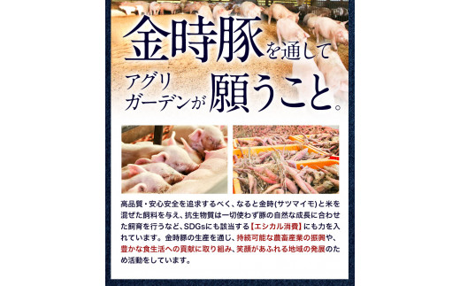 【出回らないからこそ価値がある！】豚肉 阿波 金時豚 ミンチ 1.8kg アグリガーデン 《30日以内に出荷予定(土日祝除く)》ブランド豚 肉 小分けパック 送料無料 徳島県 上板町 st-p k-8