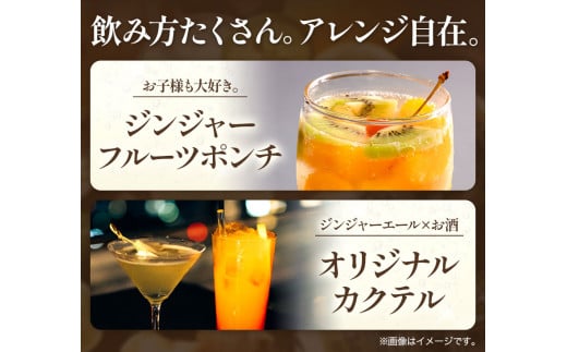 縲6繝カ譛亥ョ壽悄萓ソ縲 繧ク繝ウ繧ク繝」繝シ繧ィ繝シ繝ォ 250mlテ30郛カ 蜈蛾」溷刀譬ェ蠑丈シ夂、セ 螳壽悄 險6蝗槭♀螻翫¢ 縲翫♀逕ウ霎シ縺ソ譛医ョ鄙梧怦縺九i蜃コ闕キ髢句ァ九 蠕ウ蟲カ逵 荳頑攸逕コ 繧ク繝・繝シ繧ケ 轤ュ驟ク豌エ 蜈蛾」溷刀 繧ク繝ウ繧ク繝」繝シ繧ィ繝シ繝ォ 繧ェ繝シ繧ャ繝九ャ繧ッ 譛画ゥ st-p