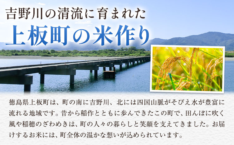 ＼7~14営業日以内に発送／ もちもち美味しい！ 徳島ふるさと実り米 精米 20kg 徳島県 上板町 お米 米 白米